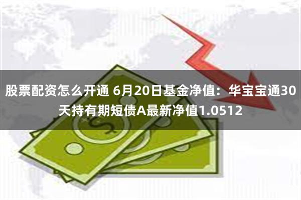 股票配资怎么开通 6月20日基金净值：华宝宝通30天持有期短债A最新净值1.0512