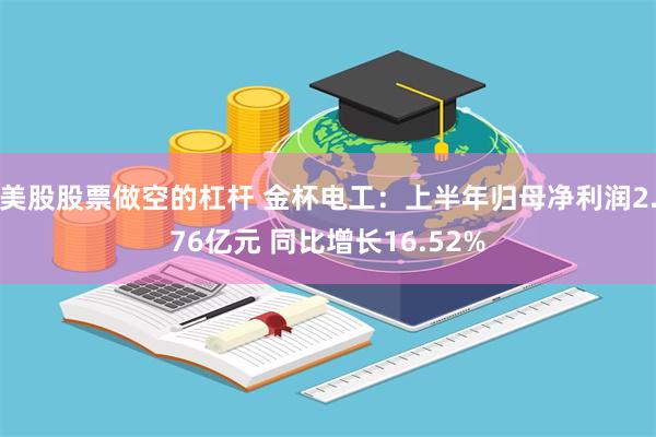 美股股票做空的杠杆 金杯电工：上半年归母净利润2.76亿元 同比增长16.52%