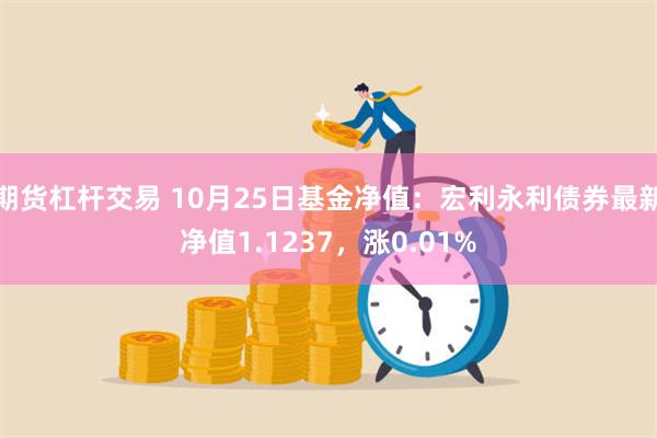 期货杠杆交易 10月25日基金净值：宏利永利债券最新净值1.1237，涨0.01%