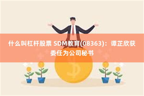 什么叫杠杆股票 SDM教育(08363)：谭芷欣获委任为公司秘书