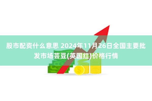 股市配资什么意思 2024年11月26日全国主要批发市场芸豆(英国红)价格行情